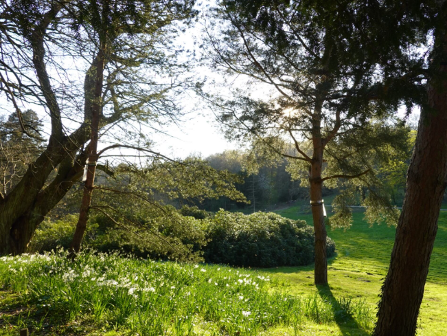 parc maison de chateaubriand cM.Masle