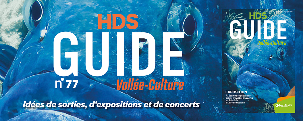 guide vallee culture hauts de seine noel activites