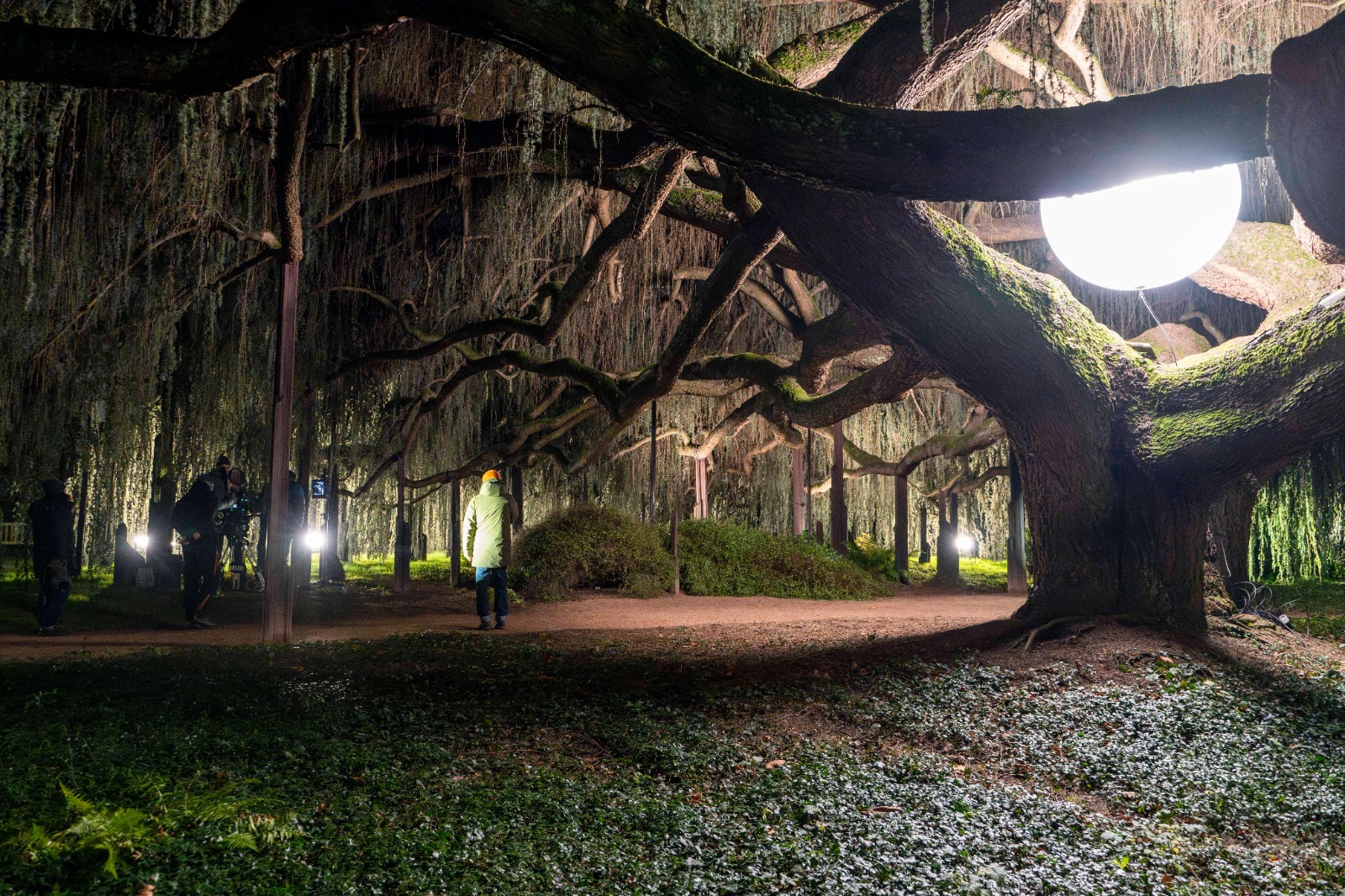 tournage film coutures angelina jolie louis garrel vincent lindon arboretum vallee aux loups